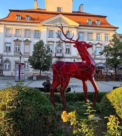 Apartament Hirschberg Pp *
